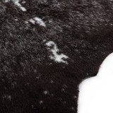 Ec4O