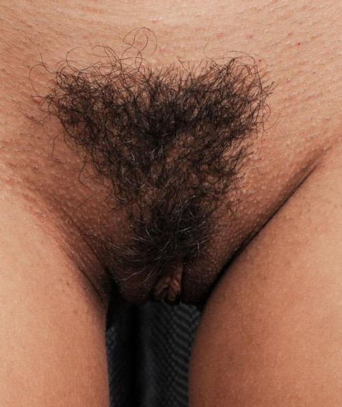 1the phoenix rising spat