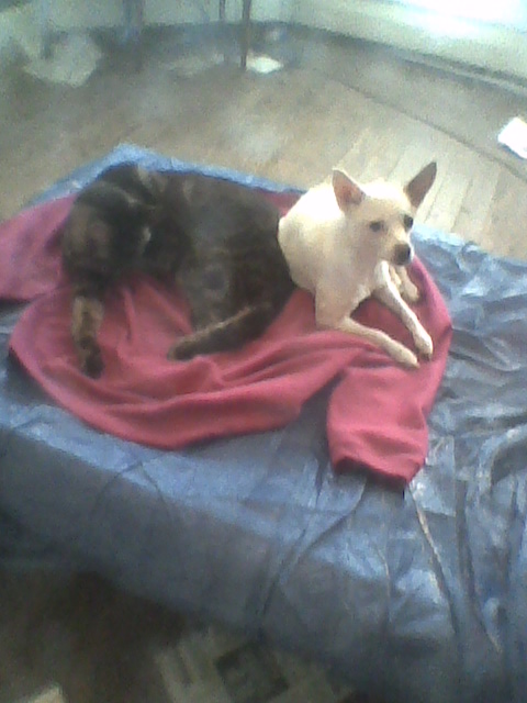 Em3J.jpg