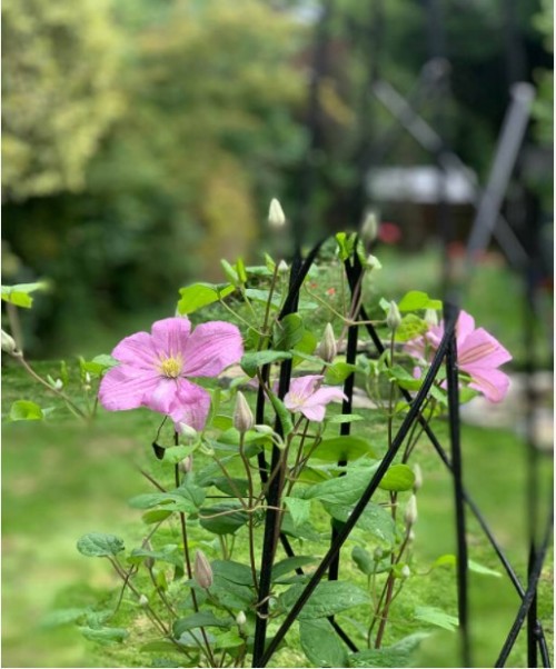 Looking for garden designers in Buckinghamshire? Terrafloragardendesign.com is a top platform that offers the best garden design consultation services in London. We provide the best garden design and landscaping services to create a beautiful space full of natural beauty. Visit our site for more details.

https://terrafloragardendesign.com/about/