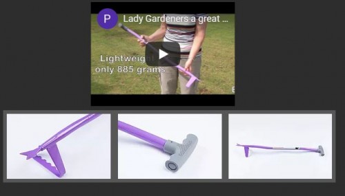 EnNp.jpg