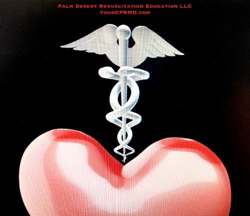 tightshorts237 assrted20