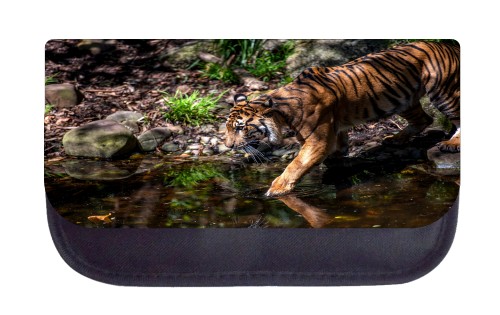 If you need the best spine surgeons Los Angeles, visit our DOCS, Spine + Orthopedics Clinic. We offer the best orthopedic spine surgery, Pain Management &amp; Rehabilitation in Los Angeles, CA.
Visit here:- http://www.docsspineortho.com/