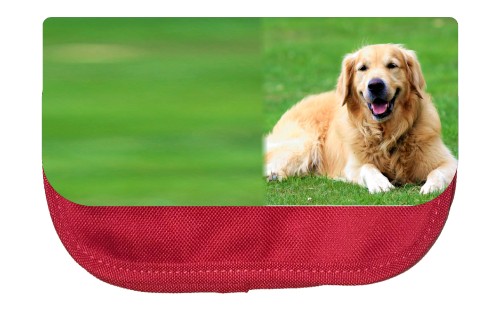 The air pockets may be smooth or harsh. When you discover it the best component to do is expel it. You can regularly evacuate it by hand. When you do, make an effort not to break the air pockets as this could make it to spread out. 

#aquarium #plants #shrimps #Aquarzon

Web: https://sites.google.com/view/httpswww-aquarzon-com/home