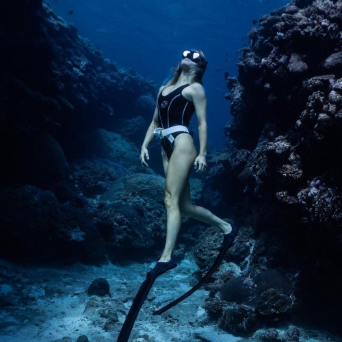 sur dive108@oceanerfreediving..
