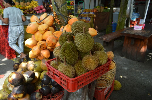 MGyS.jpg