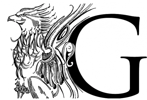 MMfY.png