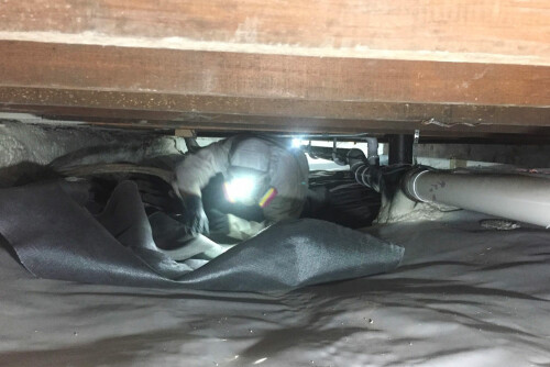 Do not allow rodents, mold, and other health risks to flourish in your crawlspace. Get the assistance you require from Crawlspaces.com, the leading authority on maintaining and repairing crawlspaces.

https://crawlspaces.com/
