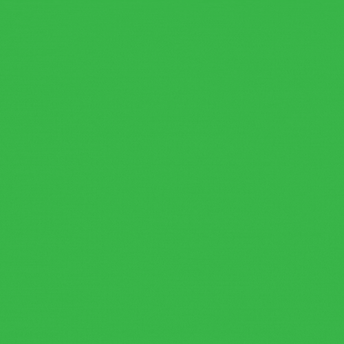 MTRj.gif