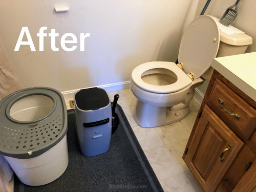 MUmS.jpg