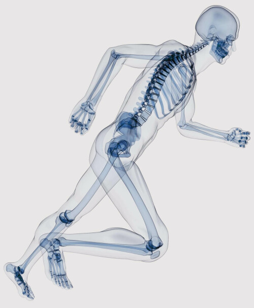 Md3l.jpg
