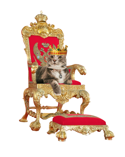 Mo5s.png