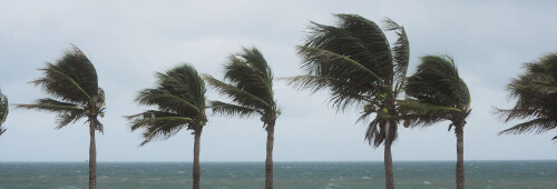 Florida Inspections Unlimited
3801 SW 117 Ave. #655209
Miami, FL 33175
(305) 910-1171

http://www.homeinspectionsmiamifl.com/