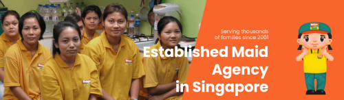 Budget Maid Agency is one of the top leading maid agency in Singapore. We have Indonesian, Myanmar, Philippines, Maid agency near me. We also have many transfer maids and new domestic helpers and caregivers to care for your elderly and children.
https://www.budgetmaid.com.sg/