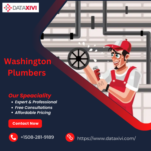 DataXiVi, your reliable choice for plumbing solutions, proudly serves as Washington plumbers with expertise and dedication. From routine maintenance to emergency repairs, our skilled team ensures top-notch service and customer satisfaction. Trust DataXiVi for all your plumbing needs in the Washington area, delivering excellence with every job.

https://www.dataxivi.com/plumbers/us/washington