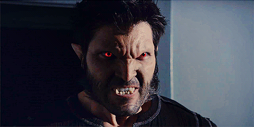 S484.gif