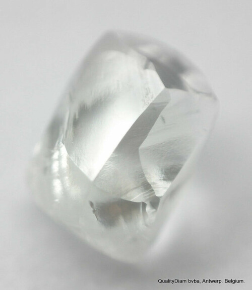 S4yS.jpg