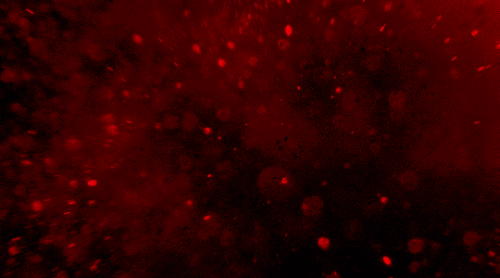 S8QK.gif