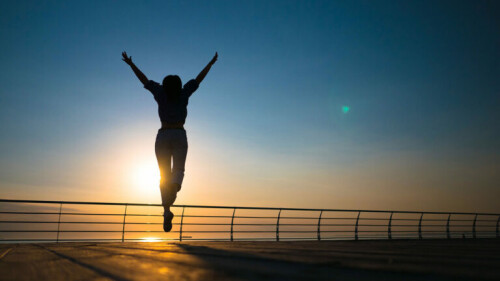 SCv8.jpg