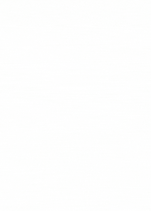 SEk5.gif