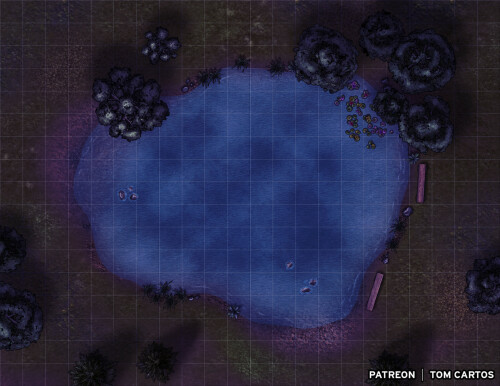 SHi1.jpg