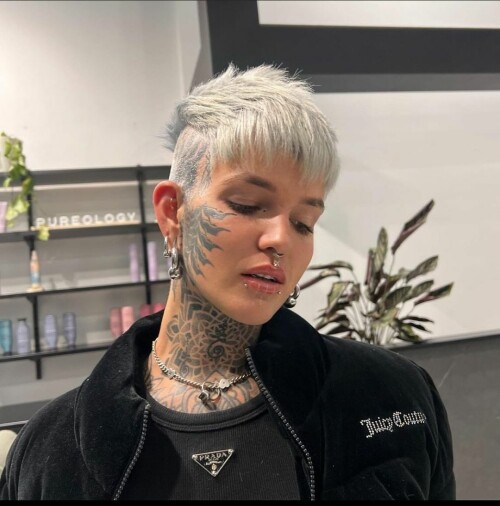 SI0G.jpg