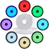 SIlI
