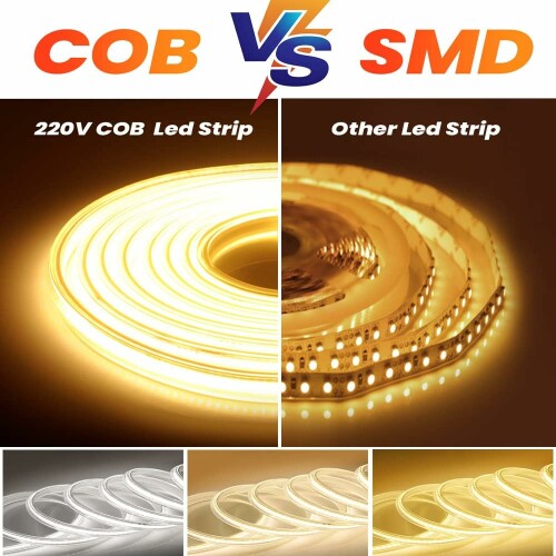 SMV6.jpg