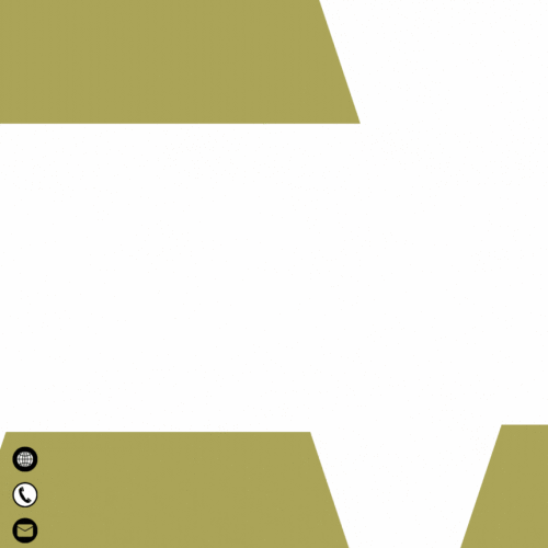 SNV6.gif
