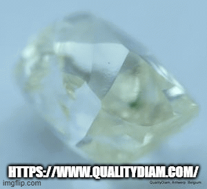 SQC8.gif