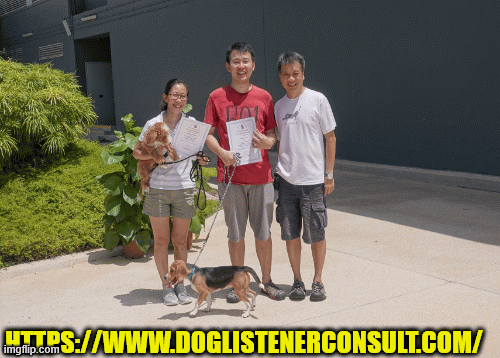 SQc5.gif