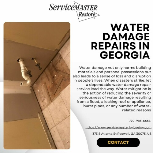 SSXi.jpg