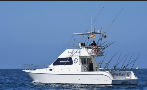 Robert Kersey is an avid hunter and fisherman. He enjoys sharing his knowledge with others Hunting and fishing



https://www.quora.com/profile/Robert-Kersey-34