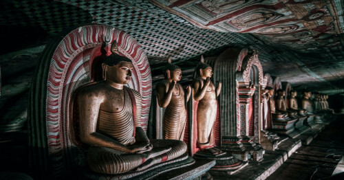 SXEL.jpg