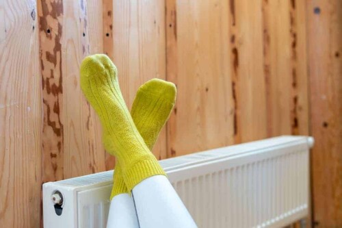 SZp3.jpg
