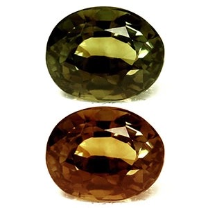 Sbnf.jpg