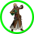 Sbz0.png