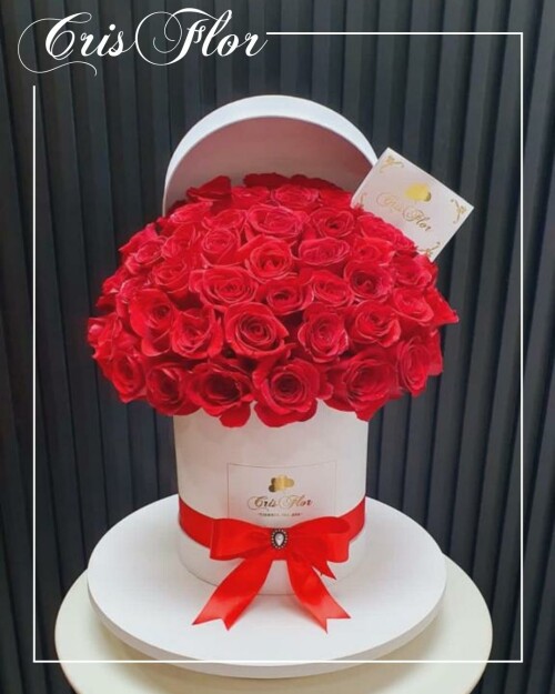 Sd72.jpg