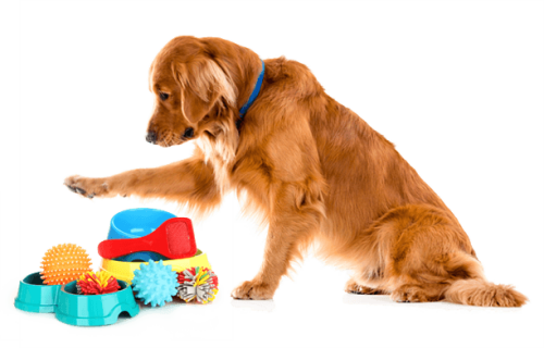 SeSR.png