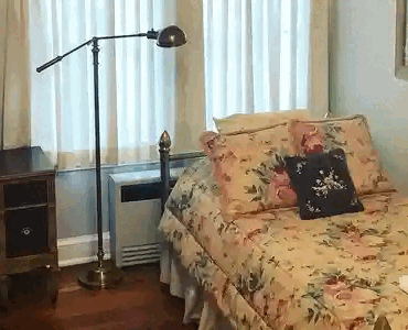 SkbN.gif