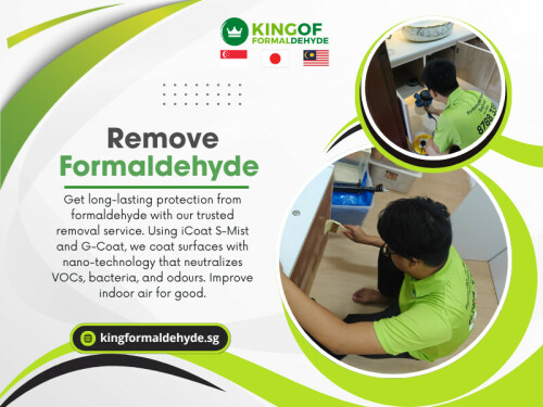 In Singapore, where many homes are tightly sealed for cooling and built using processed wood and synthetic finishes, the levels of indoor air pollution can be higher than expected. This is why every homeowner should learn about formaldehyde removal Singapore and how to protect their family.

Official Website: https://kingformaldehyde.sg

Address: 3 Duku Lane,Singapore 429304,RI Services Pte Ltd

Phone: +65 8788 3388

Our Profile: 

https://photouploads.com/kingformaldehyde

More Links: 

https://tinyurl.com/24cscqp4
https://tinyurl.com/2xldyq2g
https://tinyurl.com/234n94hj
https://tinyurl.com/2arg9q3k