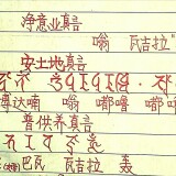 SmXJ