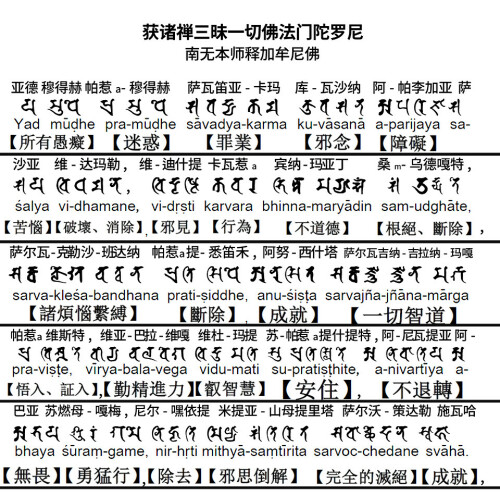 获诸禅三昧一切佛法门陀罗尼 1000003拷贝 拷贝