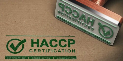 haccp certification 1110x550