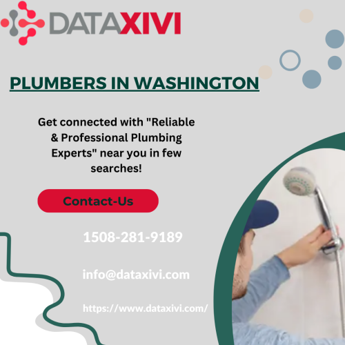 DataXiVi, a renowned service provider, excels in plumbing solutions in Washington. With a commitment to excellence, they address plumbing needs promptly and efficiently. They help their clients to get the best plumbers in washington. Trust DataXiVi for top-tier plumbing services. Elevate your plumbing experience with our skilled professionals.

https://www.dataxivi.com/plumbers/us/washington