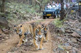 Srpe.jpg