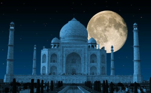 SuVf.jpg