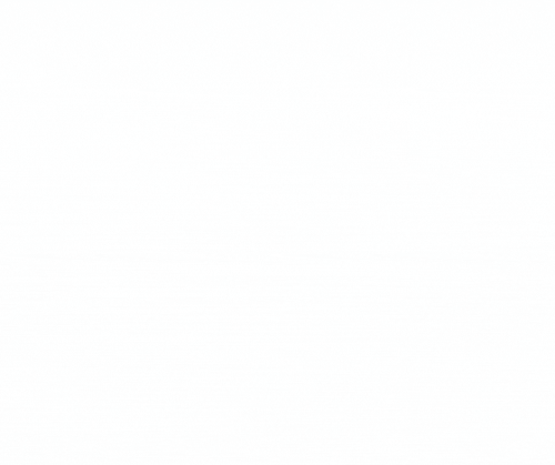 SvN1.gif