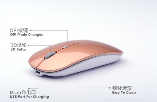 TB2Jm.CXzHz11Bjy0FpXXcNiVXa !!2512132775 副本