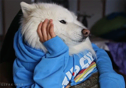 a82137.gif